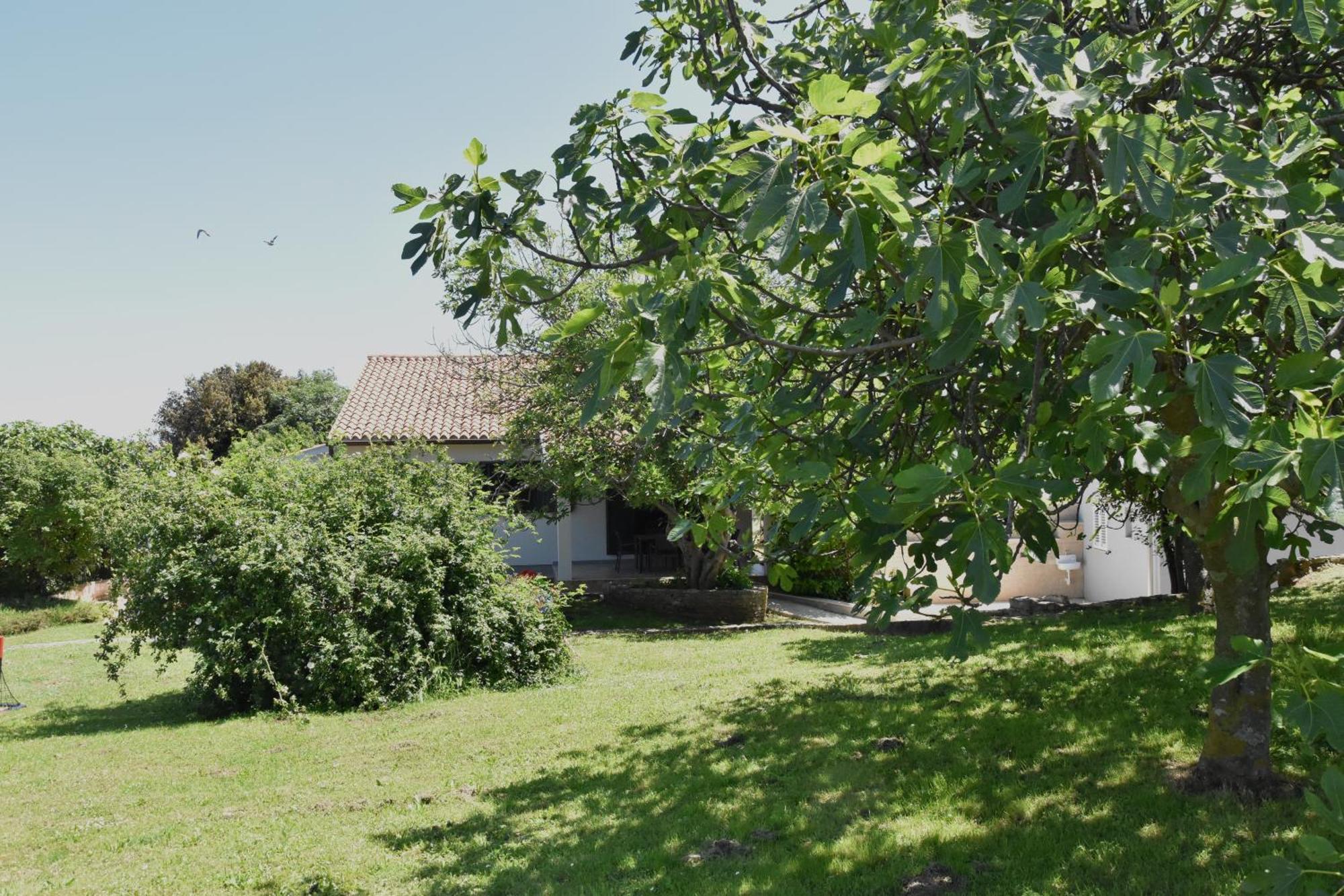 Ferienhaus Vacation